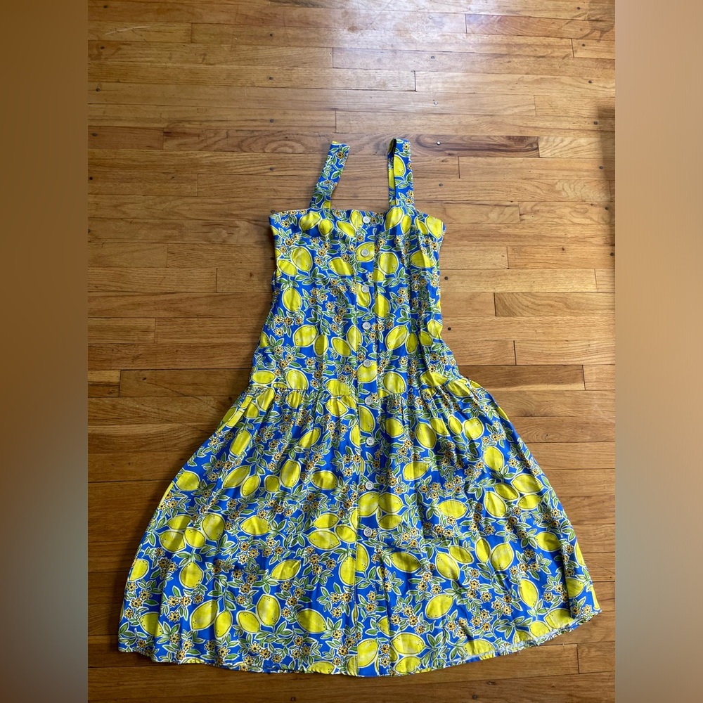 TCEC Blue Lemon-Print Dress with Green Leaf Accents
